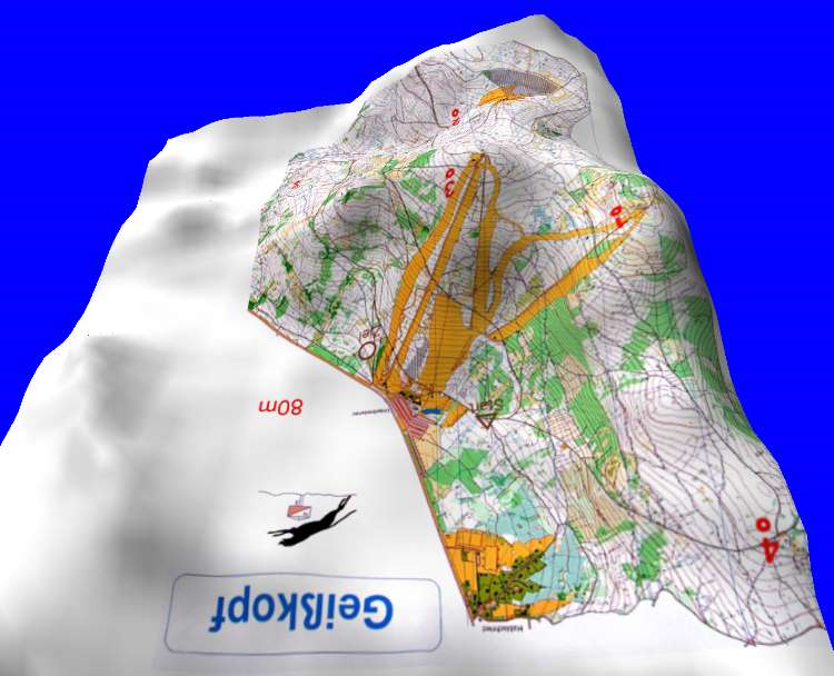 Ansicht von Norden 80m